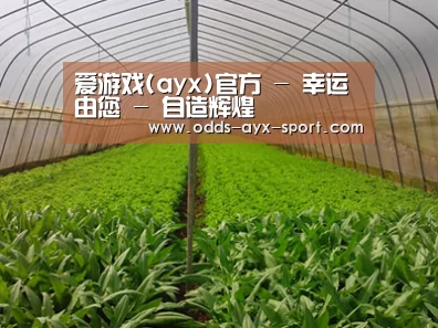 种植基地四