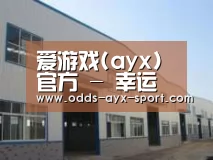 环境展示四