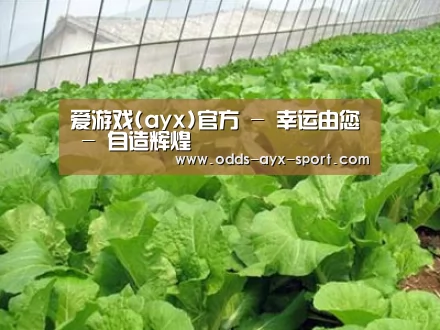 种植基地一
