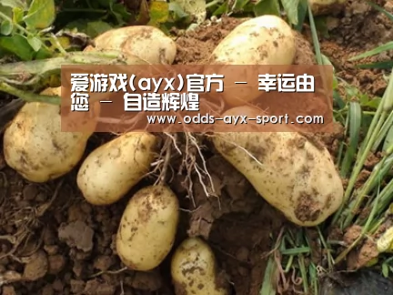 种植基地六