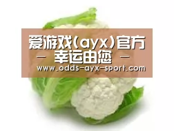 产品名称九