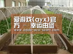 环境展示五