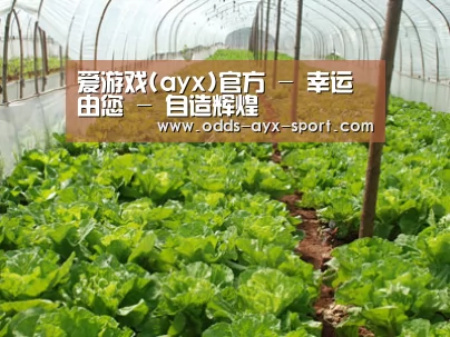 种植基地五