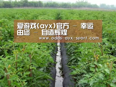 种植基地三