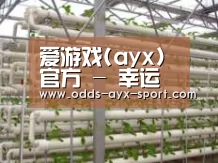 环境展示六