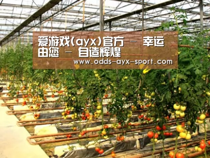 种植基地二(图1)