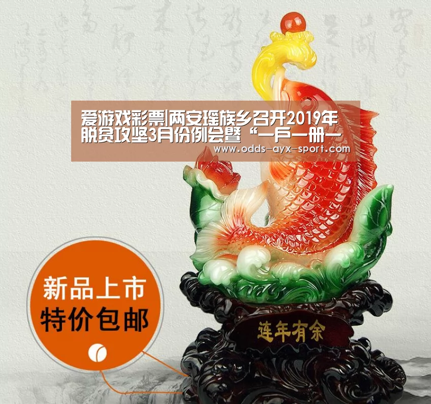 爱游戏彩票|两安瑶族乡召开2019年脱贫攻坚3月份例会暨“一户一册一卡”培训会(图4) 爱游戏官网