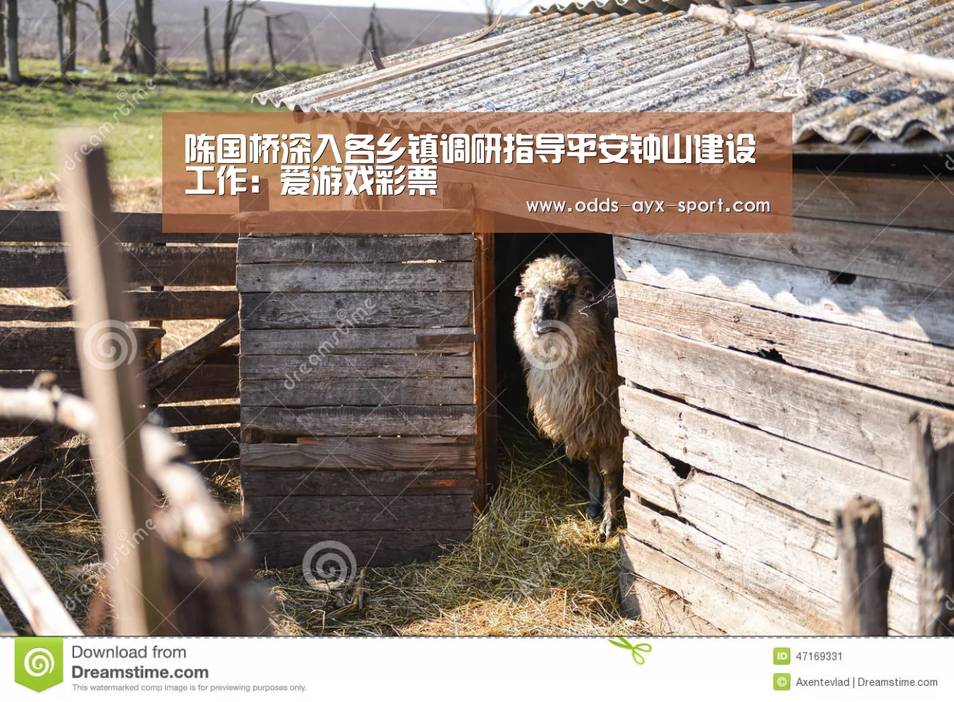 陈国桥深入各乡镇调研指导平安钟山建设工作:爱游戏彩票(图4) 爱游戏首页