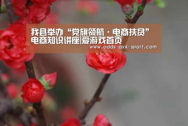 我县举办“党旗领航·电商扶贫”电商知识讲座|爱游戏首页(图2) 爱游戏首页