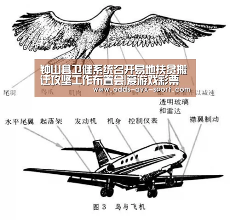 钟山县卫健系统召开易地扶贫搬迁攻坚工作布置会|爱游戏彩票(图3) 爱游戏彩票