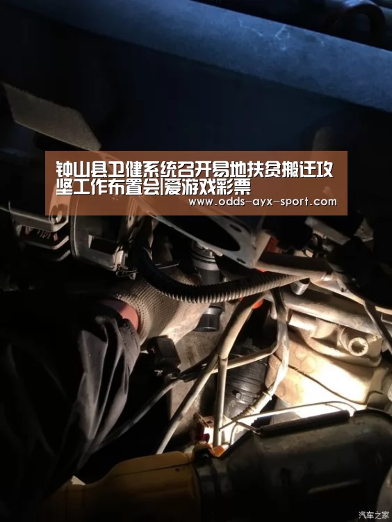 钟山县卫健系统召开易地扶贫搬迁攻坚工作布置会|爱游戏彩票(图4) 爱游戏首页