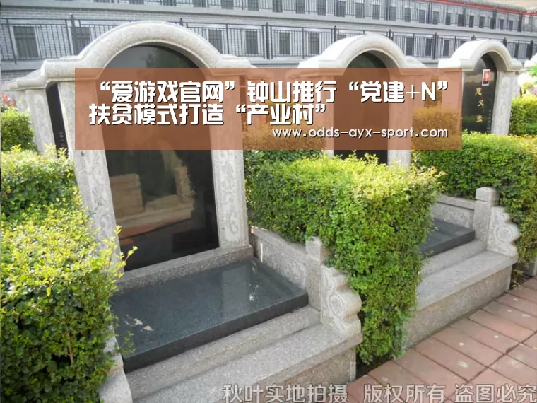 “爱游戏官网”钟山推行“党建+N”扶贫模式打造“产业村”(图3) 爱游戏官网